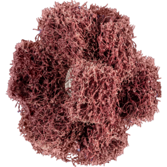 PFERD Vlieswerkzeuge PNST 38-3 A 80