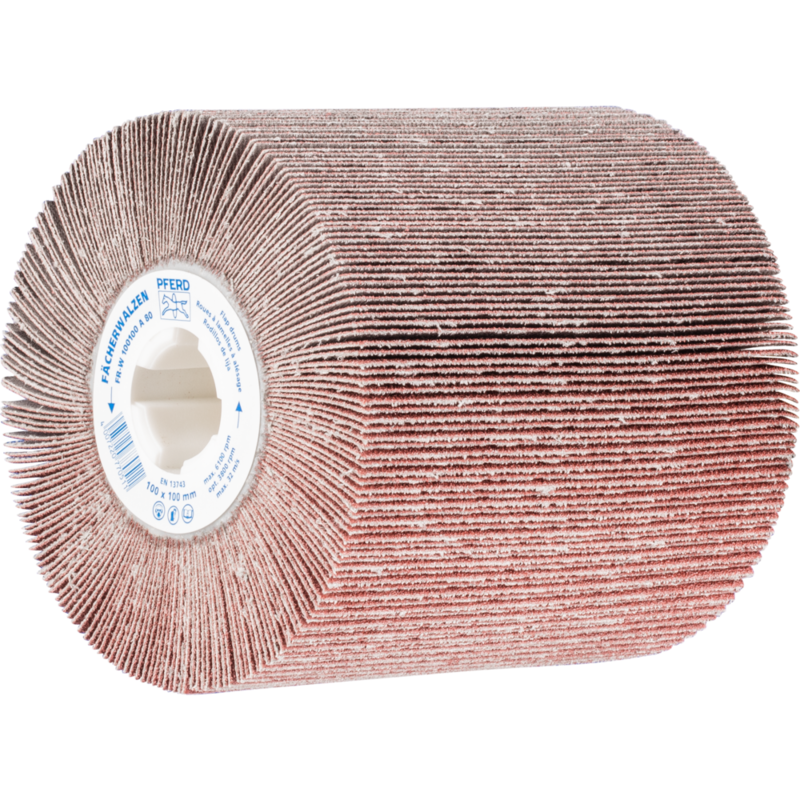 PFERD Fächerschleifwerkzeuge FR-W 100100 A 80