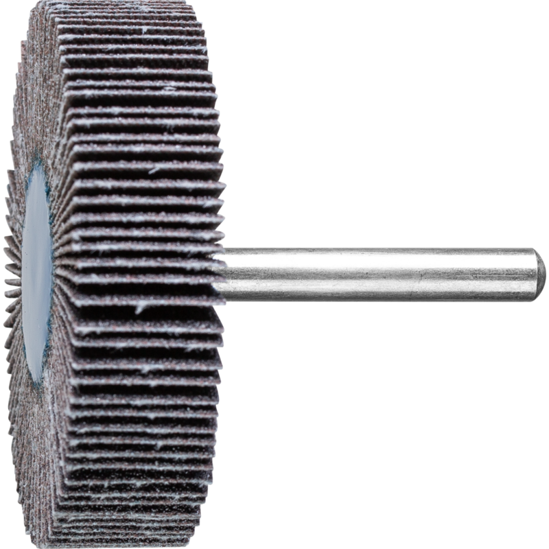 PFERD Fächerschleifwerkzeuge F 6015/6 SiC 80