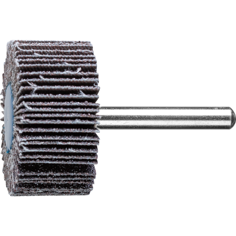 PFERD Fächerschleifwerkzeuge F 4020/6 SiC 60