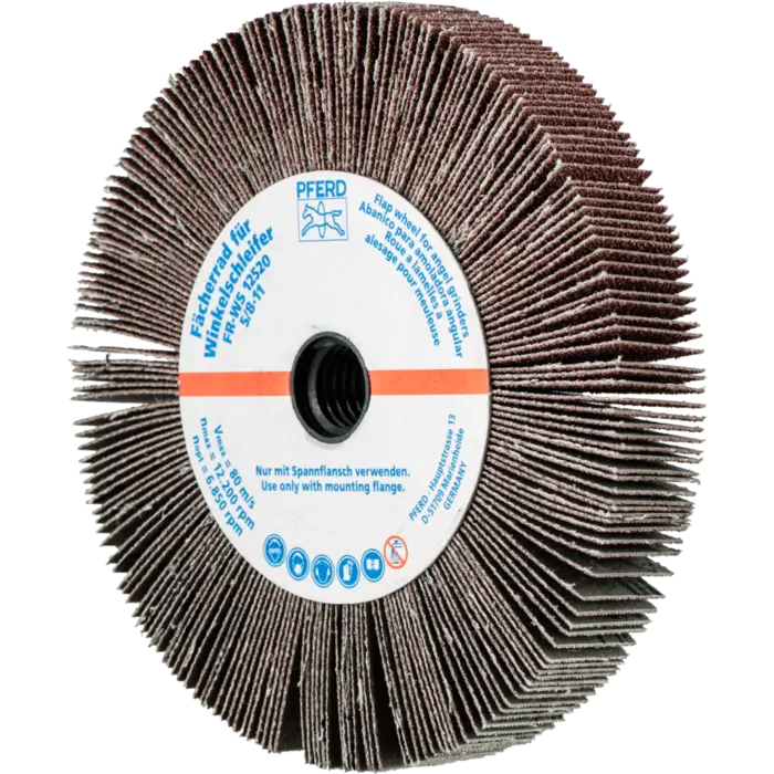 PFERD Fächerschleifwerkzeuge FR WS 12520 5/8-11 A 60